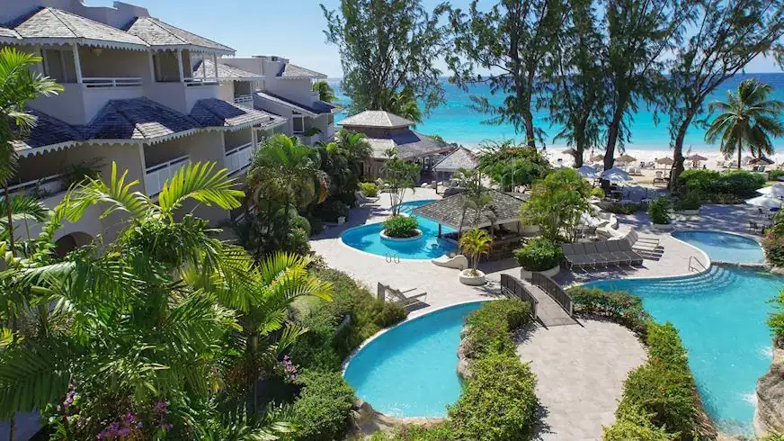 Bougainvillea Barbados