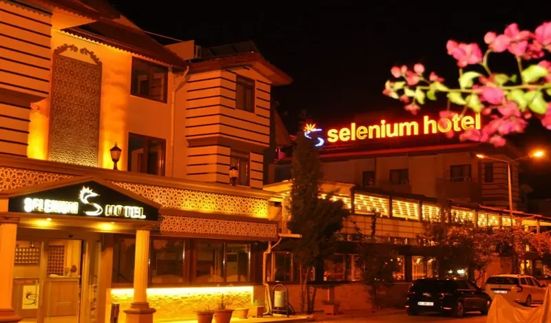 Selenium, Side: zdjęcie 5 z 10