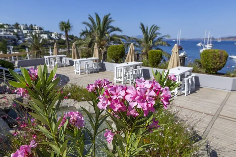 Diamond of Bodrum, Bodrum: zdjęcie 2 z 10