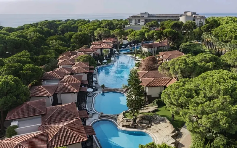 Papillon Ayscha, Belek: zdjęcie 2 z 10
