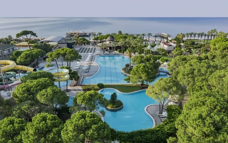 Papillon Ayscha, Belek: zdjęcie 4 z 10