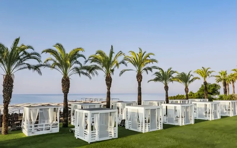 Papillon Ayscha, Belek: zdjęcie 8 z 10