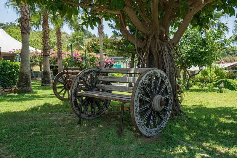 Justiniano Deluxe Resort, Alanya: zdjęcie 10 z 10