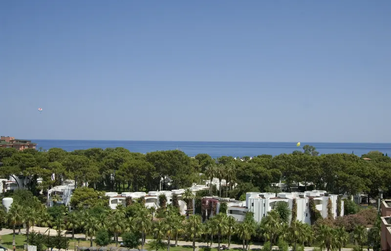 Emelda Sun Club