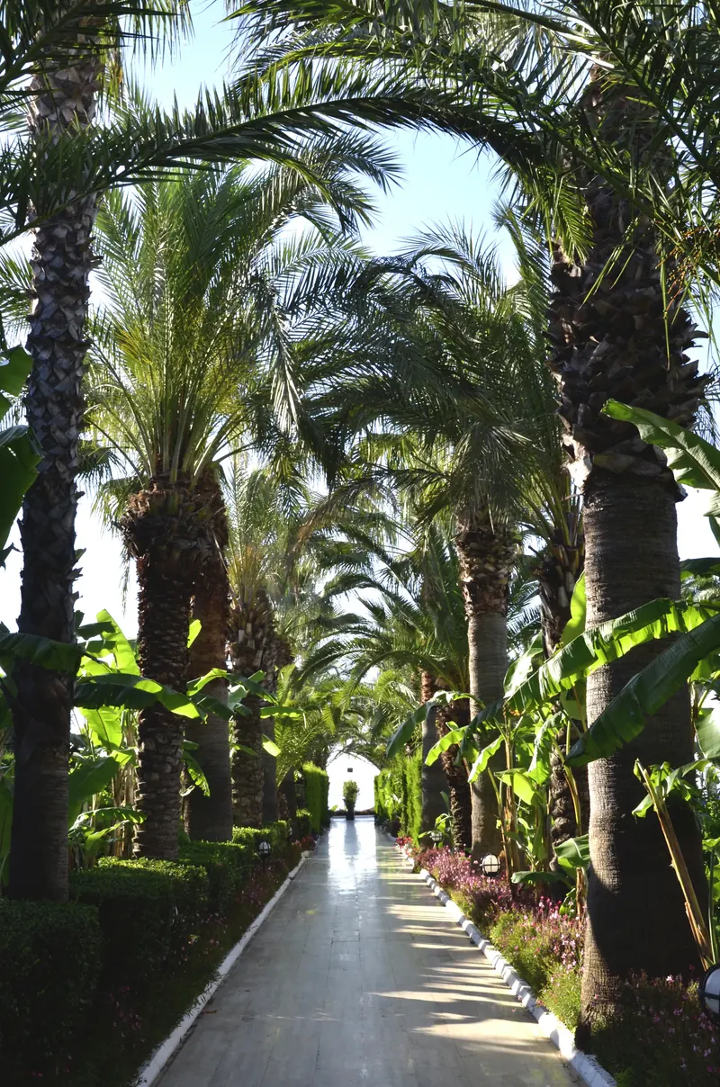 Emelda Sun Club, Kemer: zdjęcie 8 z 10