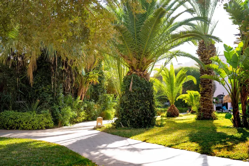 Eden Yasmine, Hammamet: zdjęcie 5 z 10