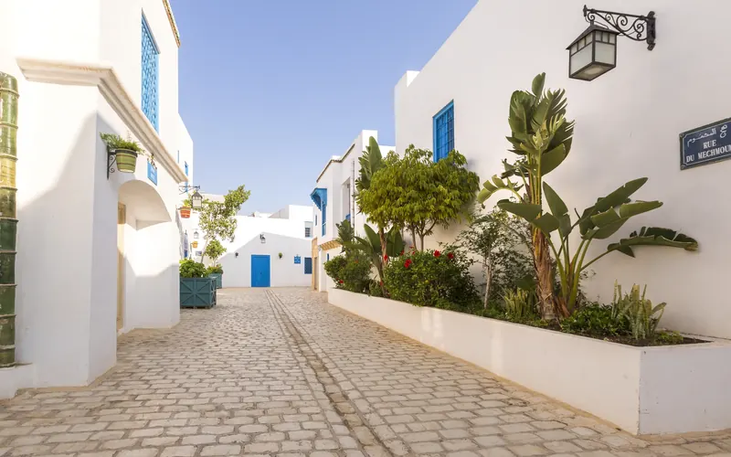 Medina Diar Lemdina, Hammamet: zdjęcie 3 z 10