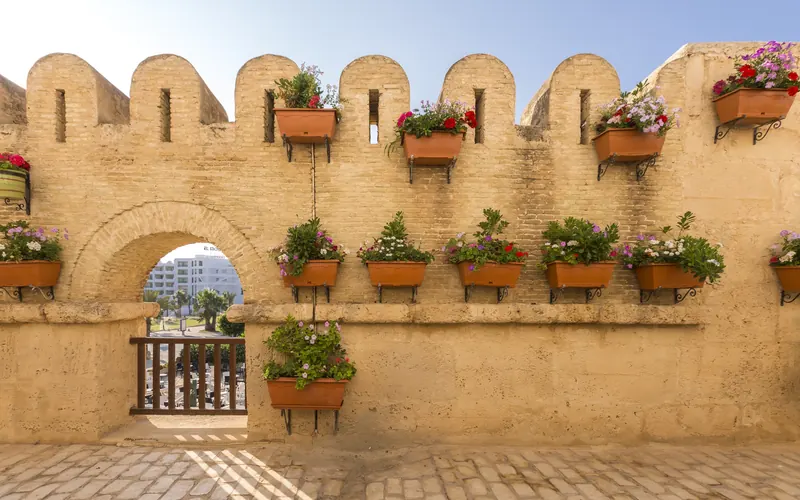 Medina Diar Lemdina, Hammamet: zdjęcie 6 z 10