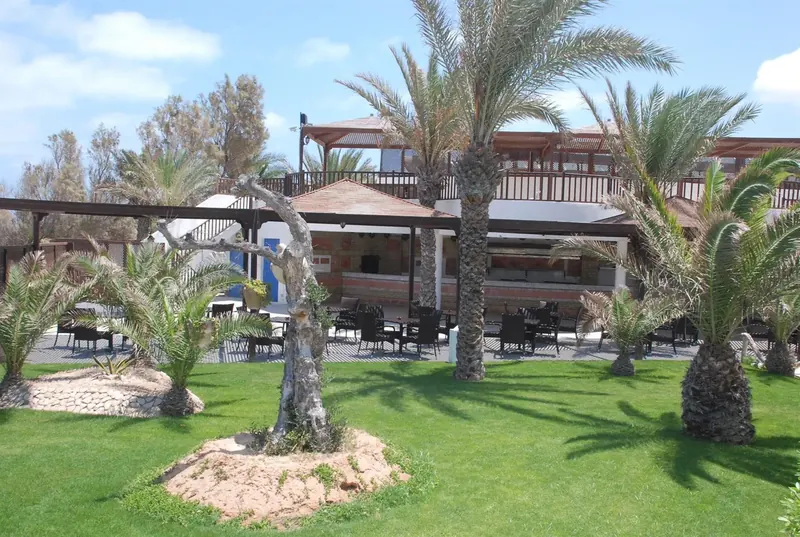 Meninx, Djerba: zdjęcie 5 z 10