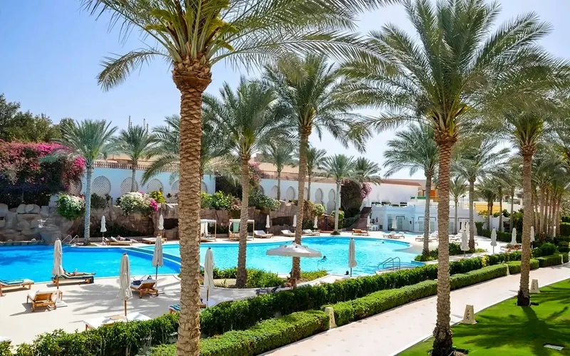 Baron Palms