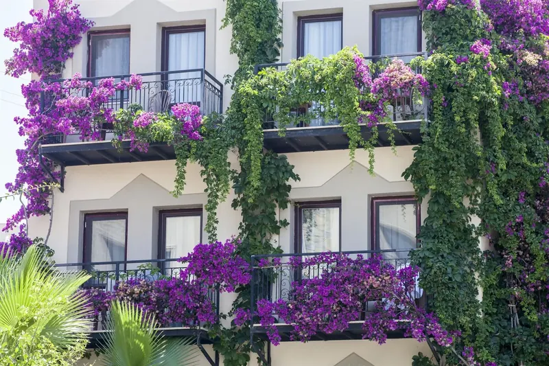Crystal Golden Age, Bodrum: zdjęcie 4 z 10