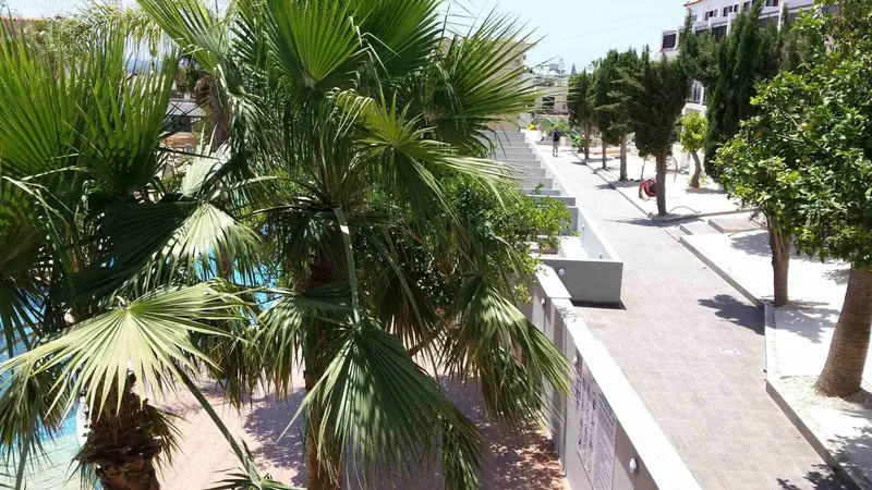 Pambos Napa Rocks, Ayia Napa: zdjęcie 5 z 10