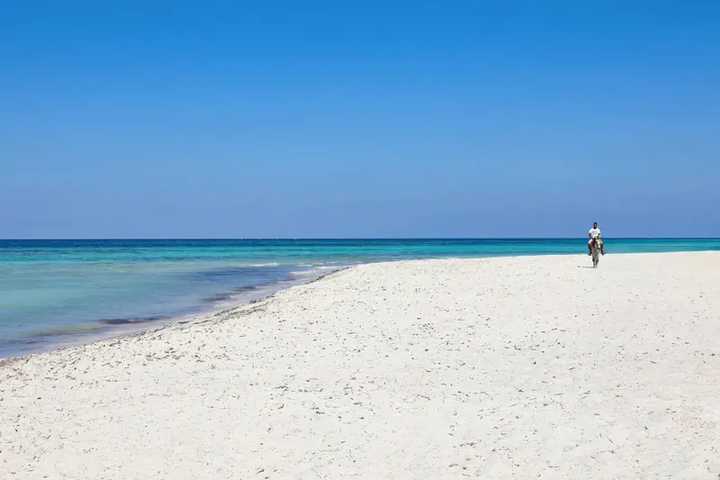 Seabel Rym Beach Club, Djerba: zdjęcie 8 z 10