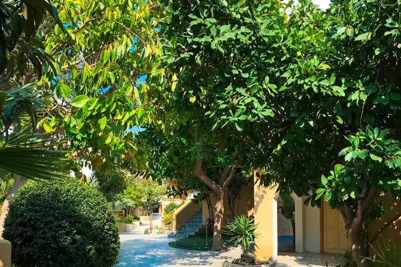 Yassou Kriti, Kreta Zachodnia: zdjęcie 4 z 10