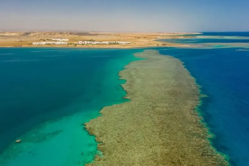 Lahami Bay Beach Resort & Gardens, Marsa Alam: zdjęcie 6 z 10