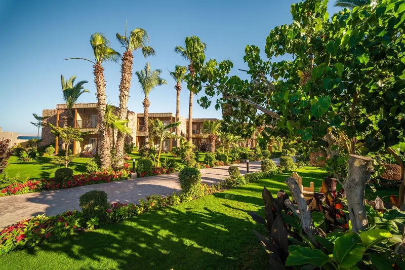 ananea Hurghada, Hurghada: zdjęcie 4 z 10