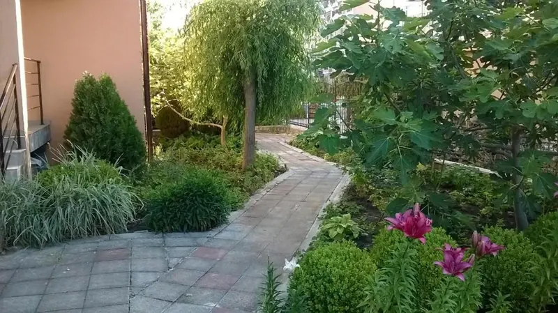 Hotel 415, Słoneczny Brzeg: zdjęcie 3 z 8