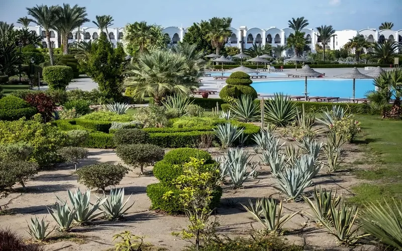 Gorgonia Beach, Marsa Alam: zdjęcie 3 z 10
