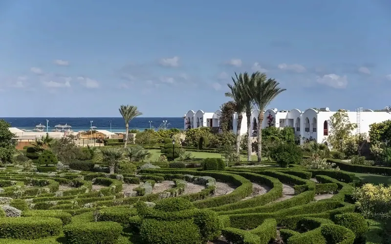 Gorgonia Beach, Marsa Alam: zdjęcie 4 z 10