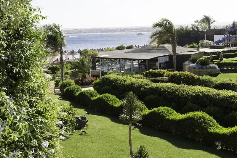 Cooee Prima Life Makadi Bay, Hurghada: zdjęcie 7 z 10