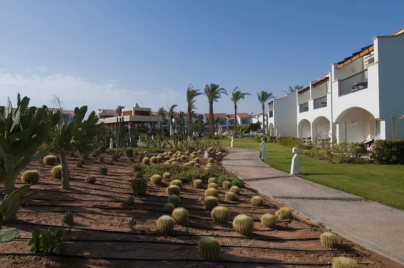 Reef Oasis Blue Bay Resort, Sharm El Sheikh: zdjęcie 8 z 10