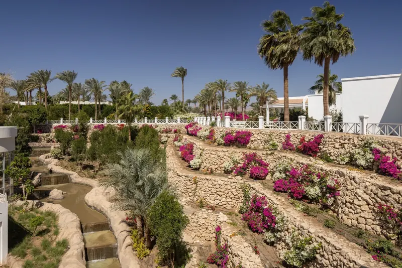 Sheraton Sharm Resort Villas & Spa, Sharm El Sheikh: zdjęcie 8 z 10