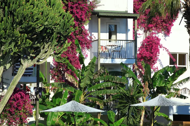 Parkim Ayaz, Bodrum: zdjęcie 6 z 10