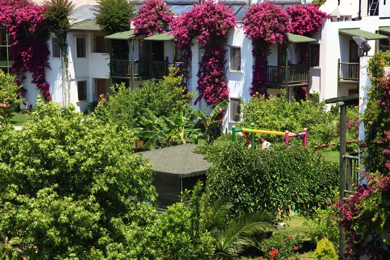 Parkim Ayaz, Bodrum: zdjęcie 7 z 10