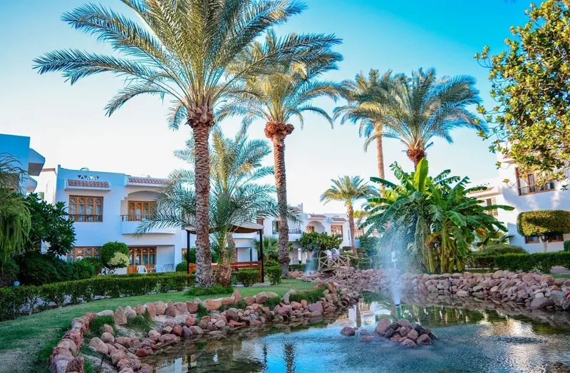 Dive Inn Resort, Sharm El Sheikh: zdjęcie 4 z 10