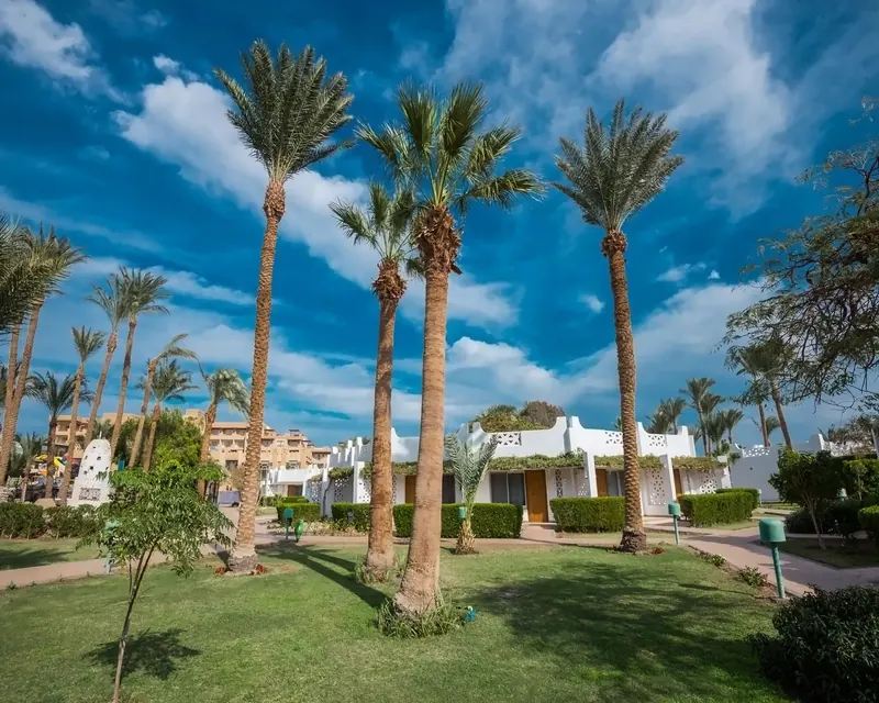 Shams Safaga, Hurghada: zdjęcie 2 z 10