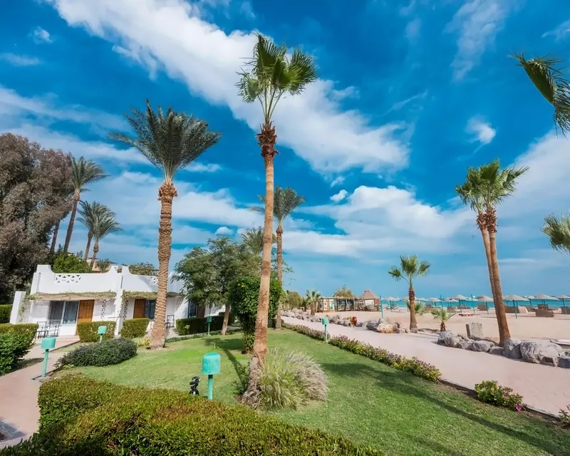 Shams Safaga, Hurghada: zdjęcie 8 z 10