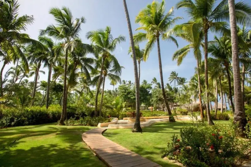 Impressive Punta Cana, Punta Cana: zdjęcie 3 z 10