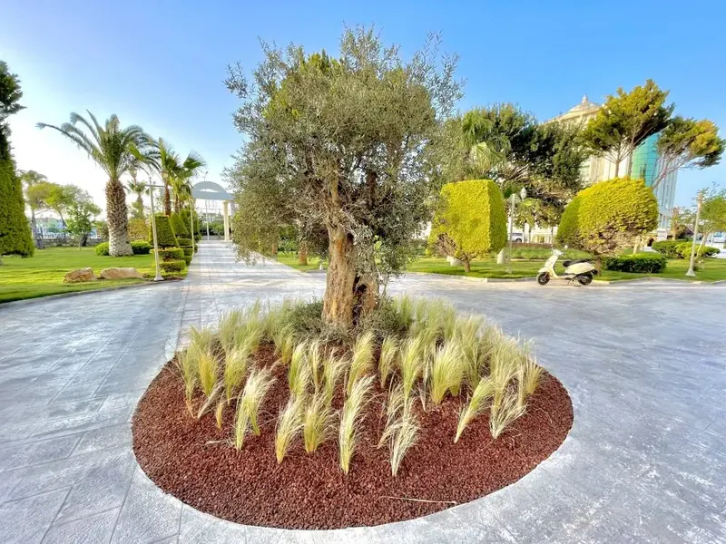 Laur Experience & Elegance, Bodrum: zdjęcie 7 z 10