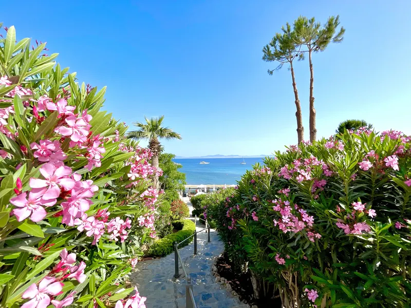 Laur Experience & Elegance, Bodrum: zdjęcie 8 z 10