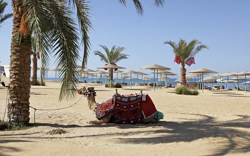 Three Corners Sunny Beach, Hurghada: zdjęcie 7 z 10