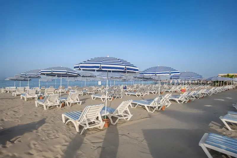 Ananas, Alanya: zdjęcie 5 z 10