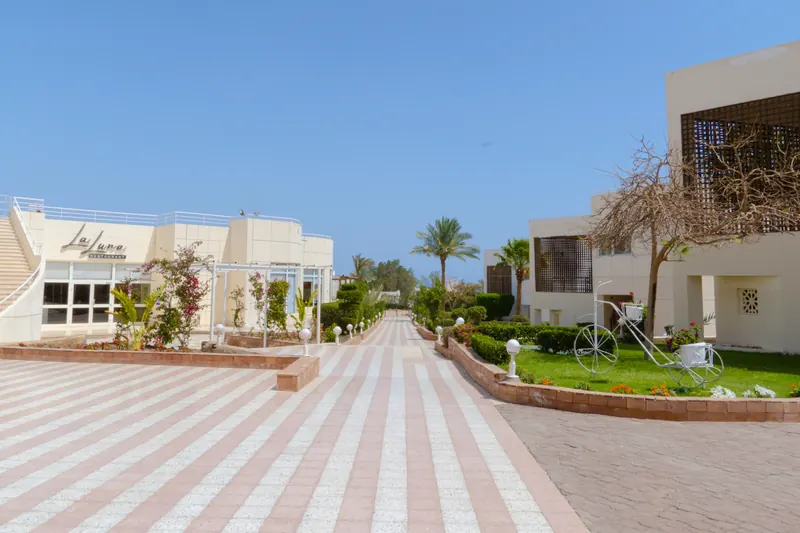 Sharm Reef, Sharm El Sheikh: zdjęcie 7 z 10