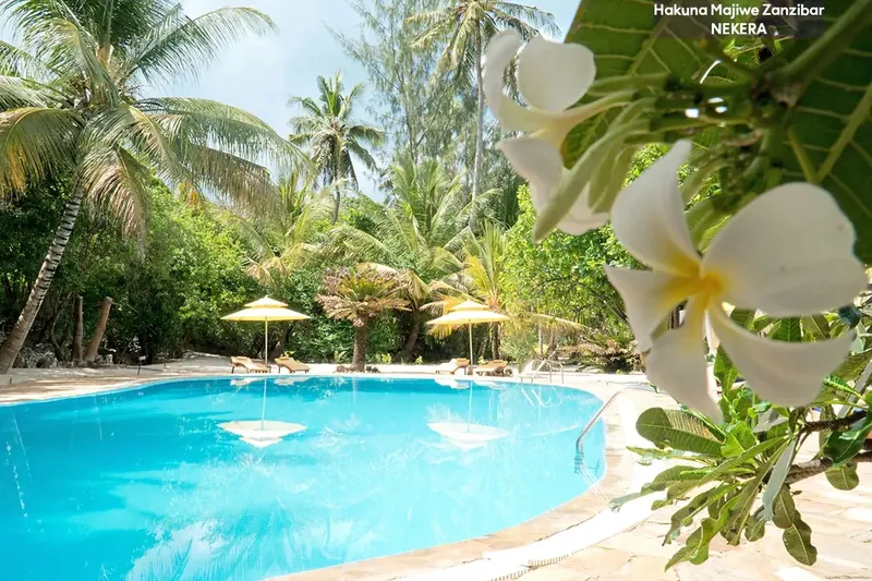 Hakuna Majiwe Beach Lodge