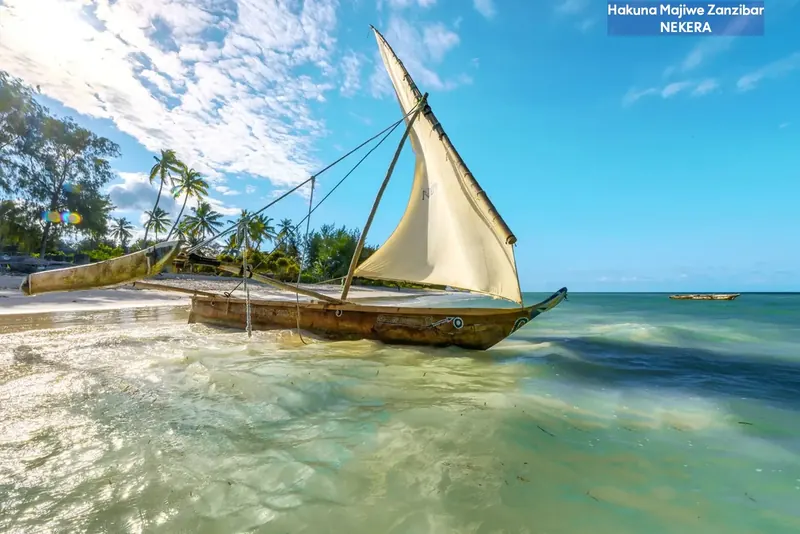 Hakuna Majiwe Beach Lodge, Zanzibar: zdjęcie 10 z 10
