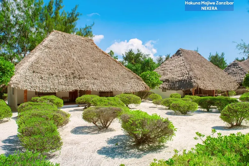 Hakuna Majiwe Beach Lodge, Zanzibar: zdjęcie 2 z 10