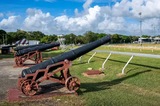 Historyczne Bridgetown i garnizon w Bridgetown: działa na trawie, tor i drzewa w tle.