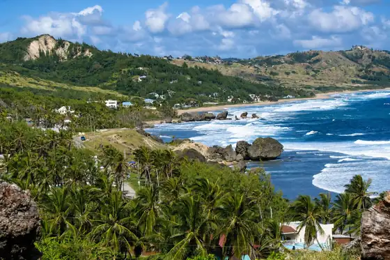Klifowe wybrzeże Bathsheba nad Atlantykiem w Bathsheba, z palmami i falami