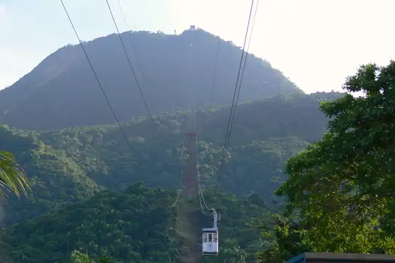 Kolejka linowa na górę Isabel de Torres w Puerto Plata nad zalesionym zboczem