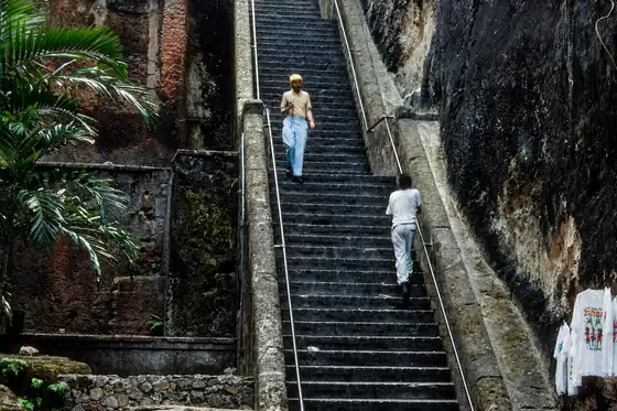 Queen's Staircase w Nassau na Bahamach, kamienne schody między ścianami i roślinnością.