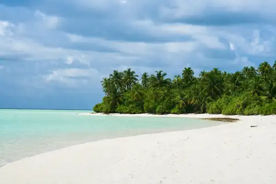 Lokalna wyspa Maafushi na Malediwach z białą plażą, palmami i laguną