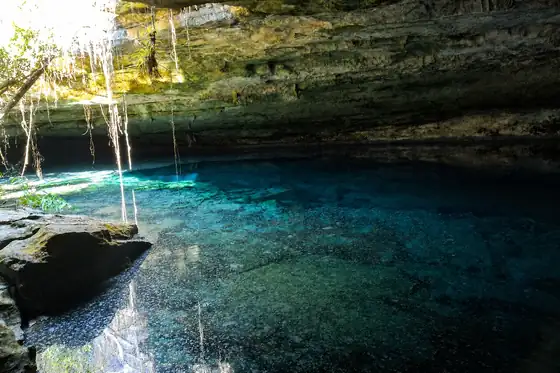 Park Narodowy Lucayan i jaskinie na Wielkiej Bahamie, z krystaliczną wodą w grocie i zwisającymi korzeniami