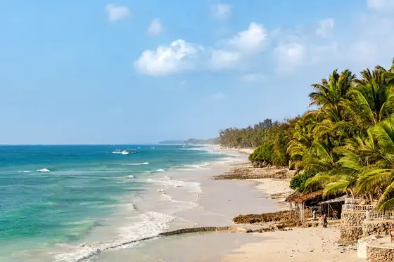 Plaża Diani w Diani Beach z piaszczystym brzegiem, palmami i łodziami na wodzie.