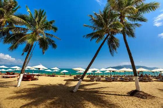 Plaża Nha Trang w Wietnamie, palmy, parasole i leżaki nad brzegiem morza.