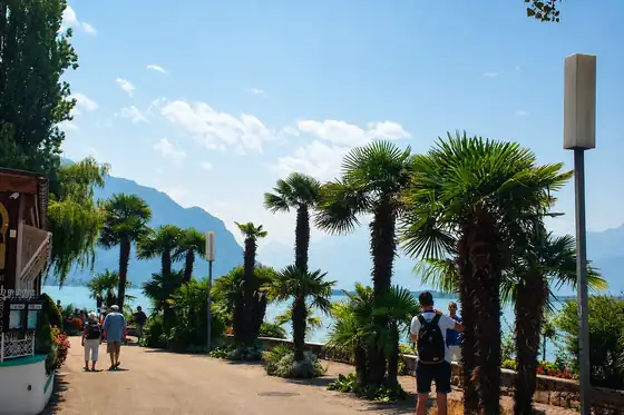 Promenada w Montreux nad jeziorem, palmy, spacerujący ludzie i góry w tle