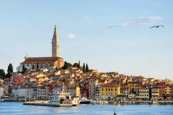 Stare miasto Rovinj z wieżą kościoła nad portem i dachami domów